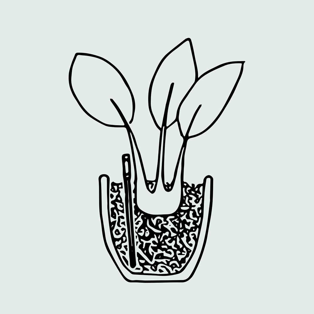 Gießanzeiger für Pflanzen – Nutzung