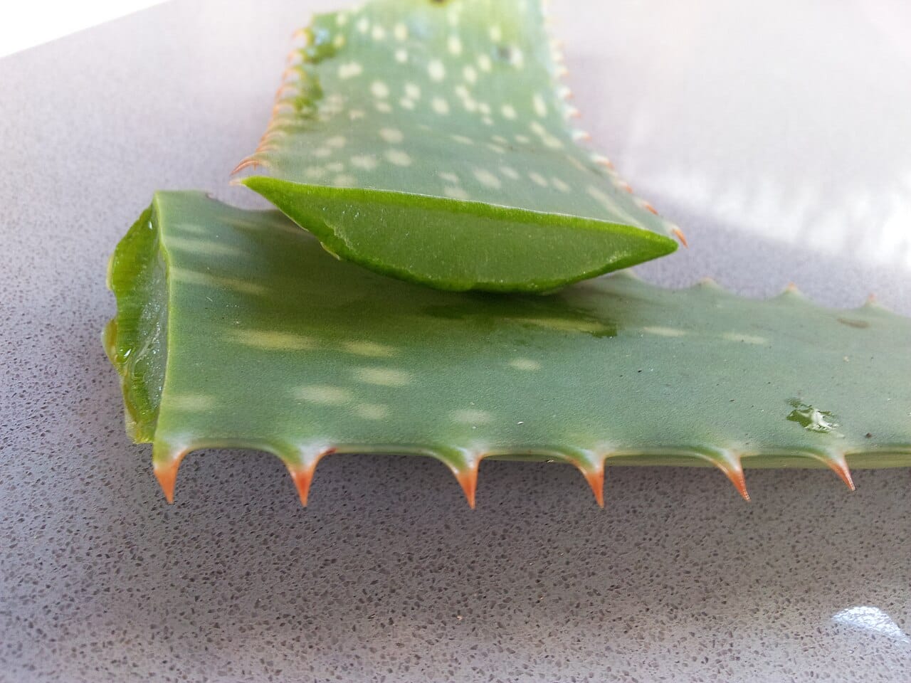 Aufgeschnittenes Aloe-vera-Blatt mit klarem Gel im Inneren